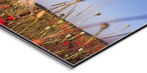 Metal Print